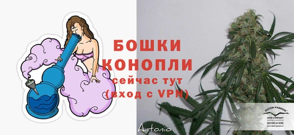 амф Снежинск