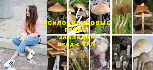 амф Снежинск